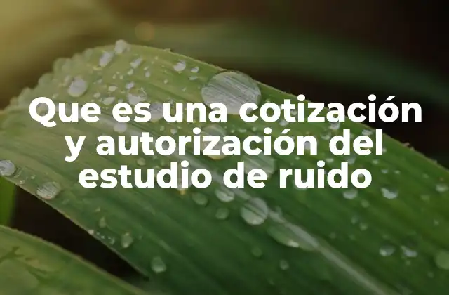 Que es una Cotización y Autorización Del Estudio de Ruido