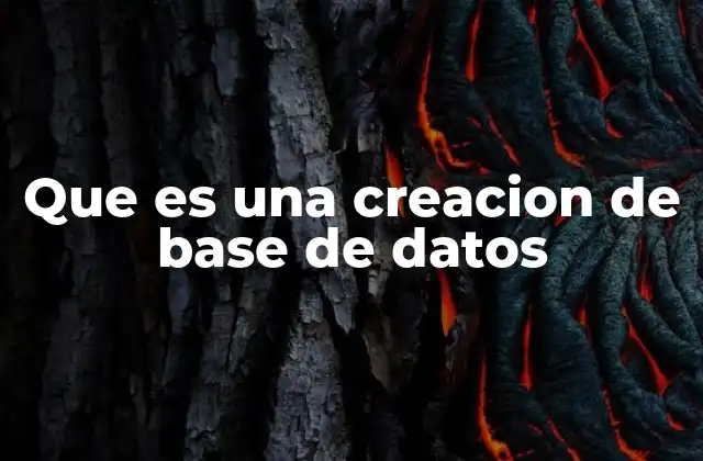 Que es una Creacion de Base de Datos