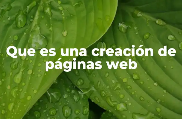 Que es una Creación de Páginas Web