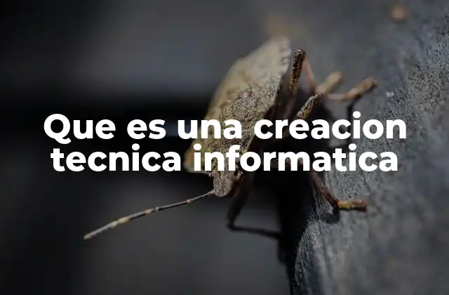 Que es una Creacion Tecnica Informatica