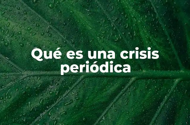 Características de las crisis periódicas