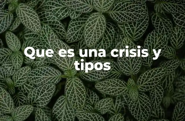 Escenarios en los que las crisis pueden surgir