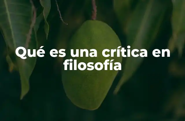 Qué es una Crítica en Filosofía