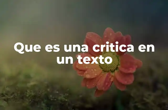 Que es una Critica en un Texto