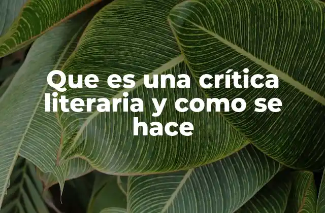 Que es una Crítica Literaria y como Se Hace