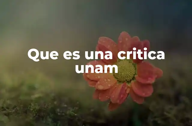 Que es una Critica Unam
