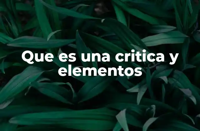 Que es una Critica y Elementos
