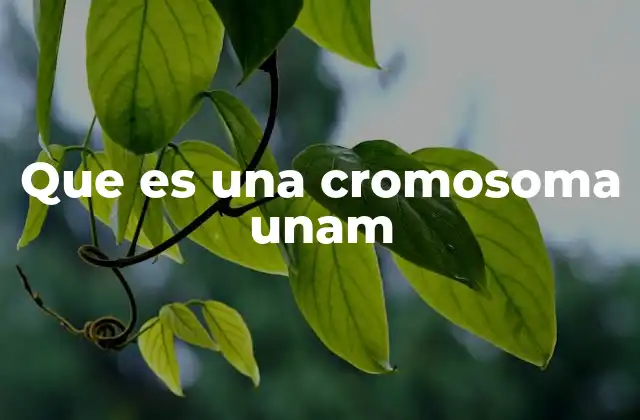 Que es una Cromosoma Unam