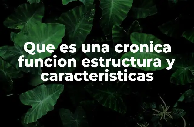 Que es una Cronica Funcion Estructura y Caracteristicas