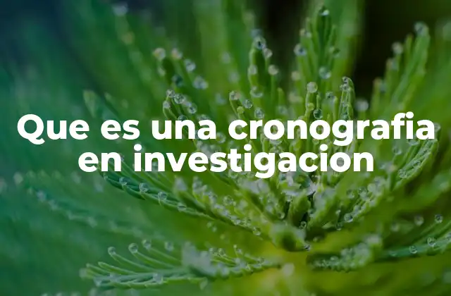 Que es una Cronografia en Investigacion