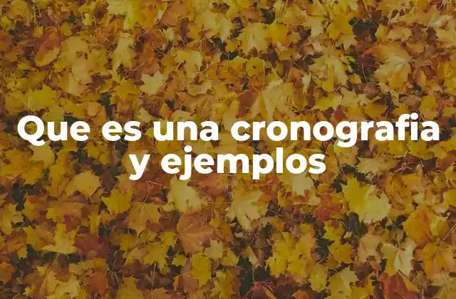 Que es una Cronografia y Ejemplos