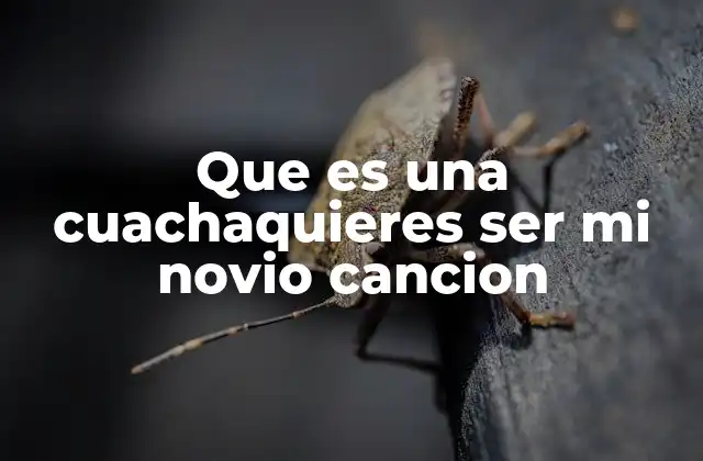 Que es una Cuachaquieres Ser Mi Novio Cancion