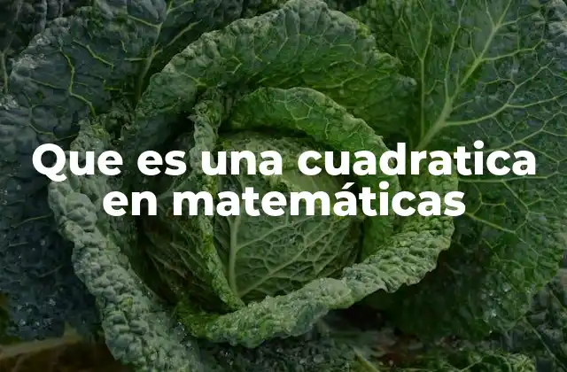Que es una Cuadratica en Matemáticas