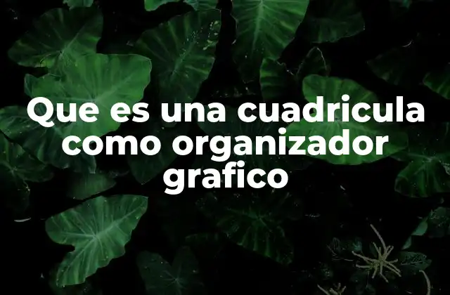 Que es una Cuadricula como Organizador Grafico