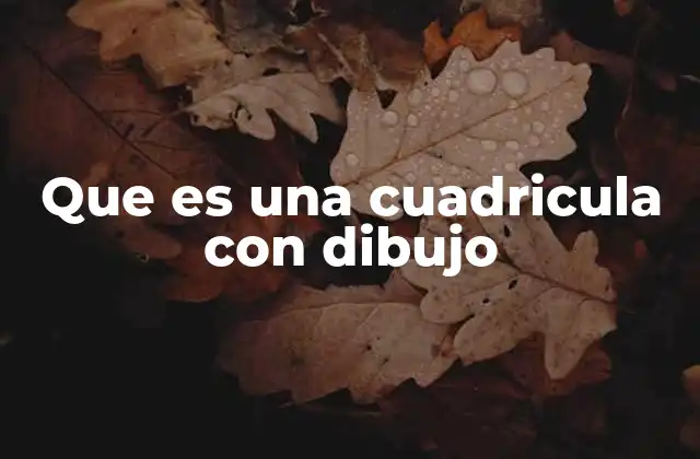 La importancia de las cuadrículas en el aprendizaje visual