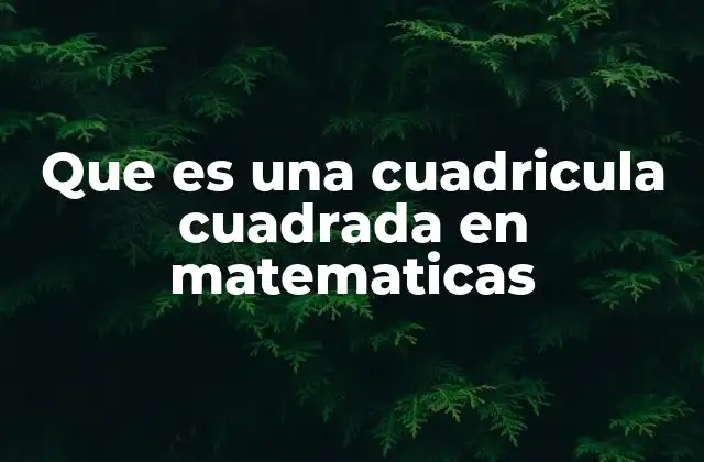 Que es una Cuadricula Cuadrada en Matematicas