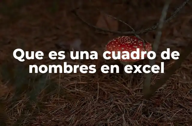Que es una Cuadro de Nombres en Excel