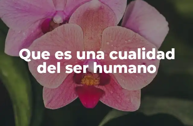 Que es una Cualidad Del Ser Humano