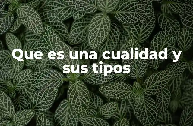 Que es una Cualidad y Sus Tipos