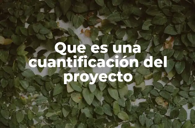 Que es una Cuantificación Del Proyecto
