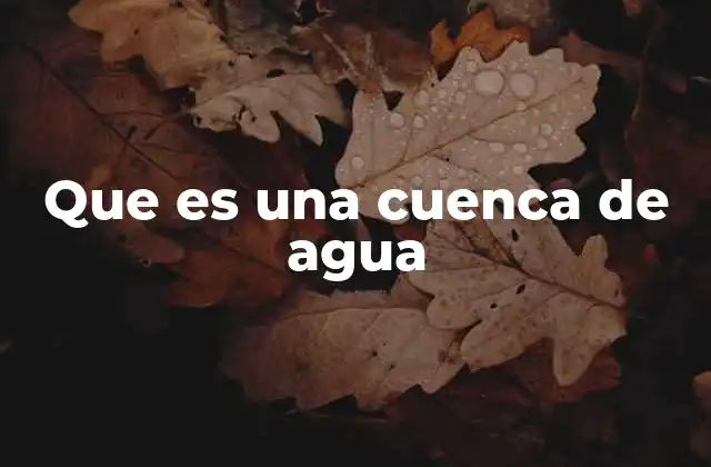 Características de una cuenca hidrográfica