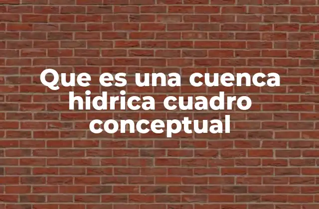 Que es una Cuenca Hidrica Cuadro Conceptual