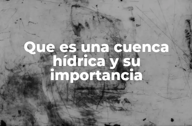 Que es una Cuenca Hídrica y Su Importancia 2 La importancia ecológica de las cuencas hídricas