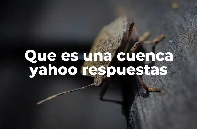 Que es una Cuenca Yahoo Respuestas