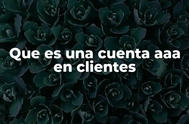 Que es una Cuenta Aaa en Clientes