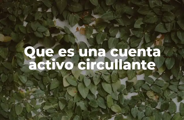 Que es una Cuenta Activo Circullante