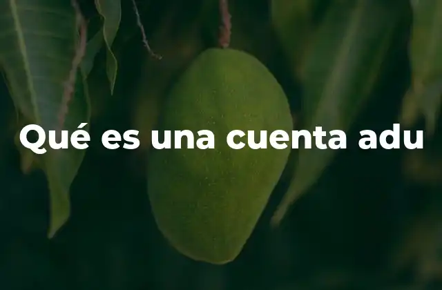 Qué es una Cuenta Adu