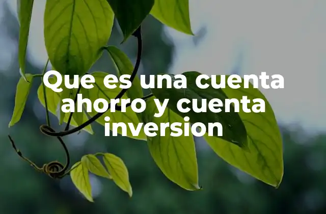 Que es una Cuenta Ahorro y Cuenta Inversion