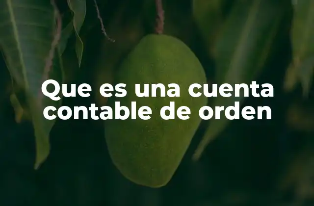 Que es una Cuenta Contable de Orden