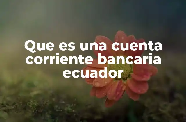Que es una Cuenta Corriente Bancaria Ecuador