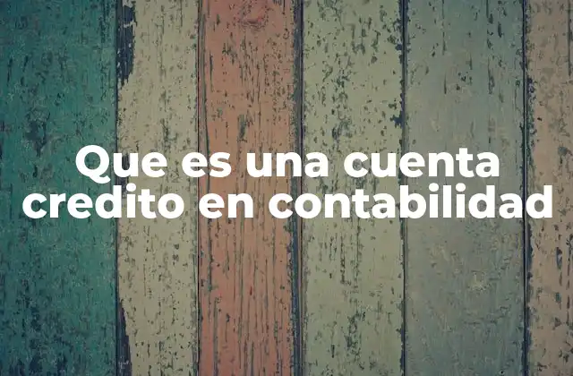 El papel de las cuentas en el sistema contable