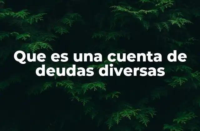 Que es una Cuenta de Deudas Diversas
