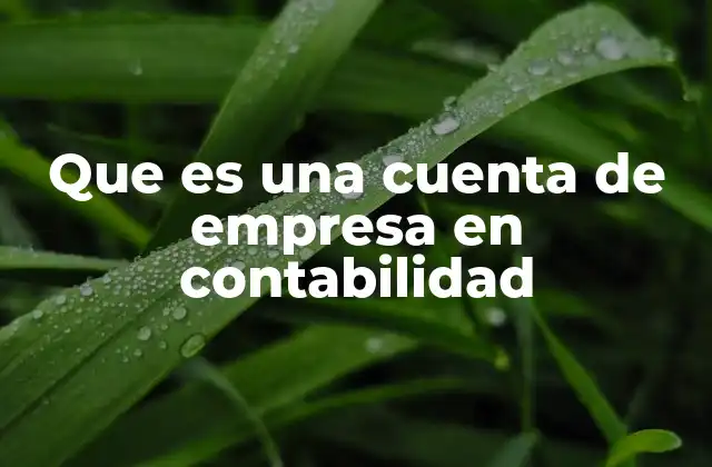 Que es una Cuenta de Empresa en Contabilidad