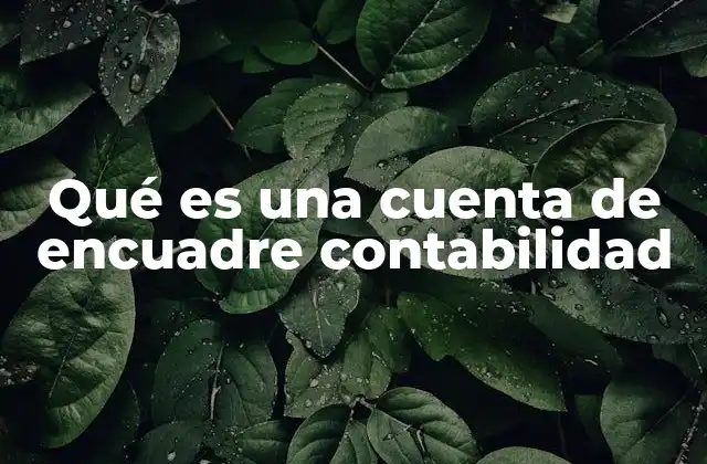 Qué es una Cuenta de Encuadre Contabilidad