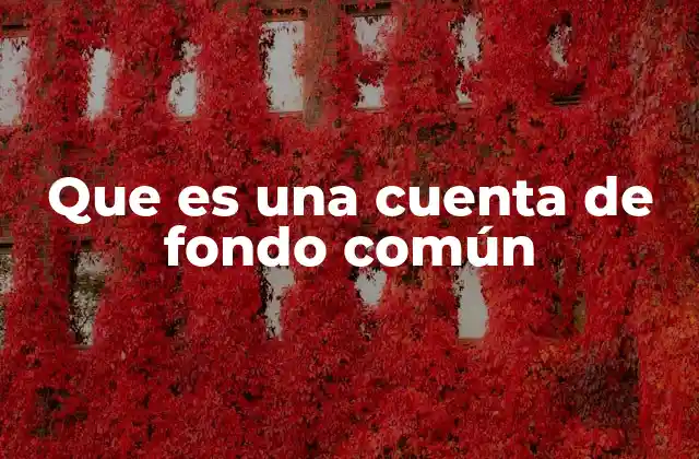 Que es una Cuenta de Fondo Común