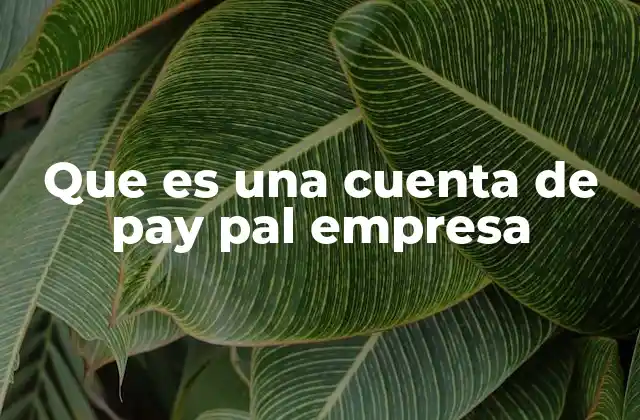 Que es una Cuenta de Pay Pal Empresa