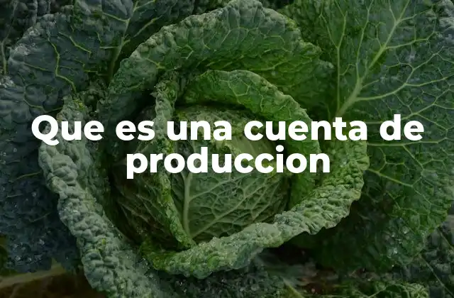 Que es una Cuenta de Produccion