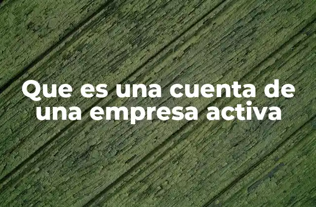 Que es una Cuenta de una Empresa Activa