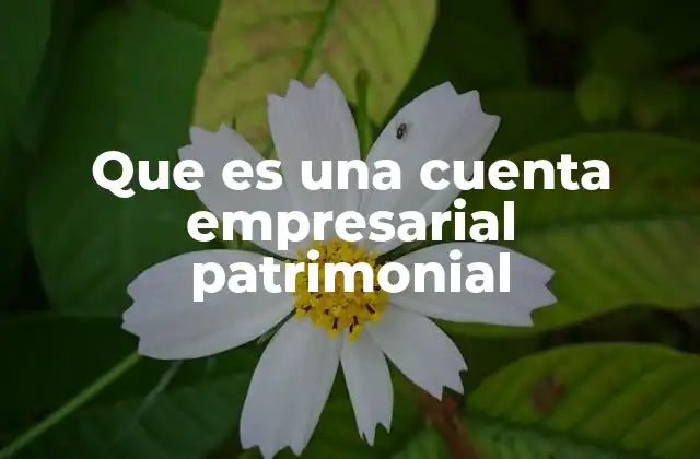 Que es una Cuenta Empresarial Patrimonial 2 La importancia de las cuentas patrimoniales en la contabilidad empresarial
