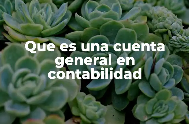 Que es una Cuenta General en Contabilidad