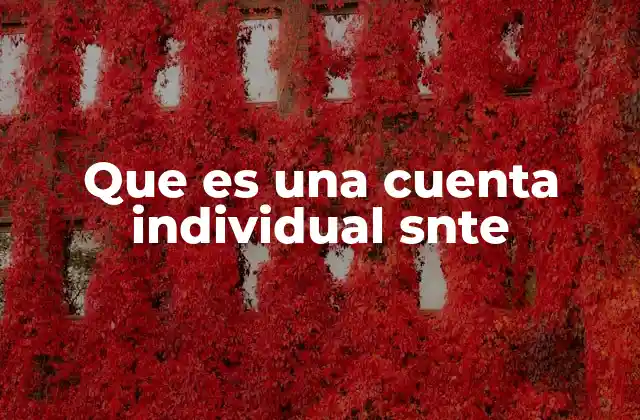 Que es una Cuenta Individual Snte