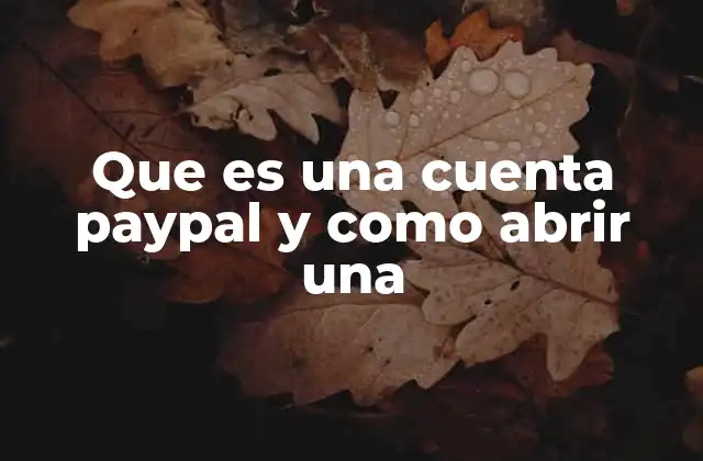 Cómo funciona una cuenta PayPal sin mencionar directamente el nombre