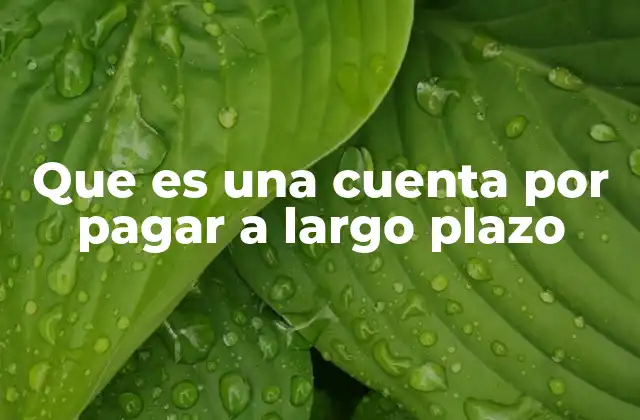Que es una Cuenta por Pagar a Largo Plazo 2 El papel de las obligaciones en la estructura financiera de una empresa