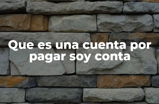 Que es una Cuenta por Pagar Soy Conta