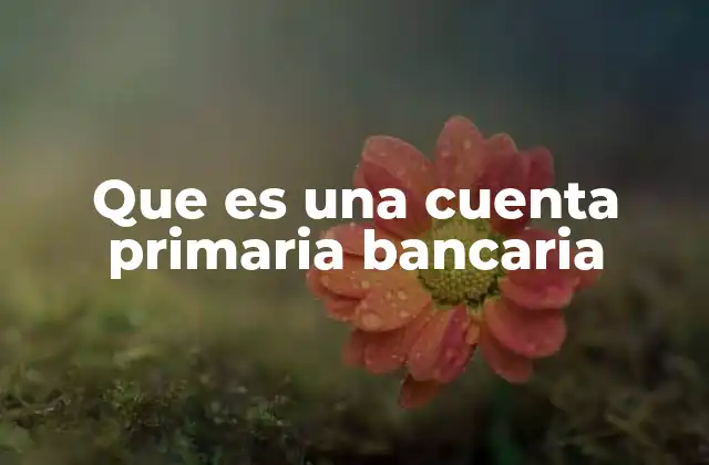 Que es una Cuenta Primaria Bancaria