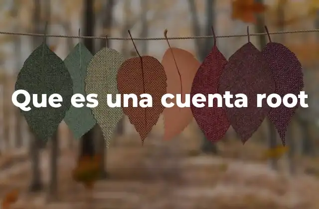 Que es una Cuenta Root